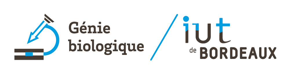 Logo IUT de Bordeaux / Site de P2rigueux - Génie Biologique